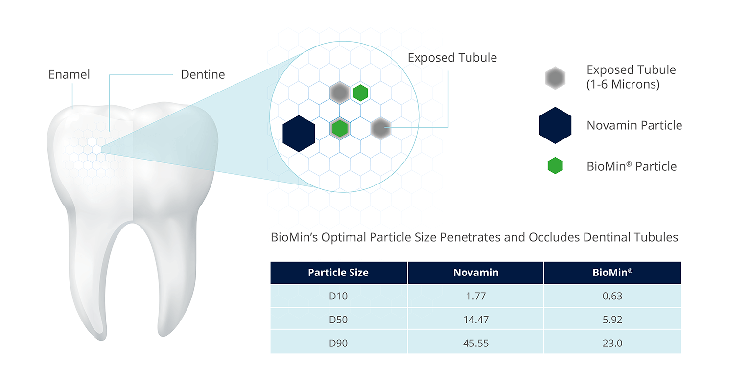 Table and image showing the particle size difference between Novamin and BioMin which allows BioMin to penetrate and occludes dental tubules.