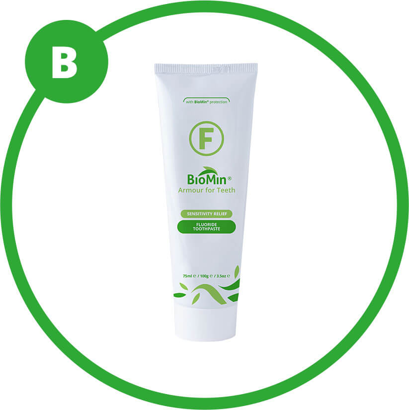 Group B - 5% fluorocalcium phosphosilicate (BioMin&reg; F)